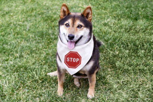 Stop Sign Octagon Mini Embroidery